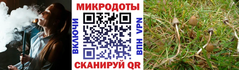 купить наркотик  Бронницы  Псилоцибиновые грибы ЛСД 
